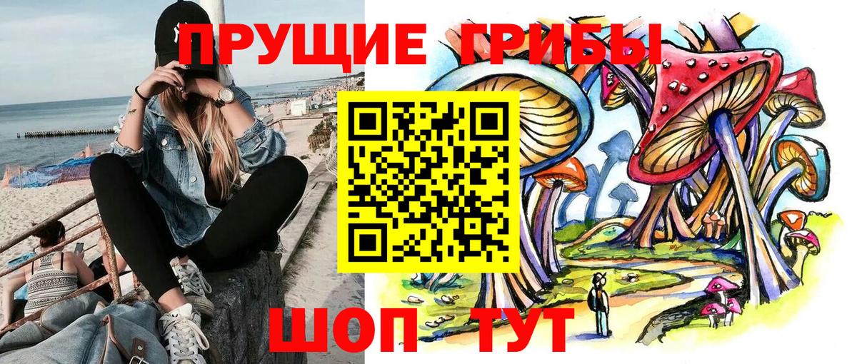 Галлюциногенные грибы MAGIC MUSHROOMS Чайковский